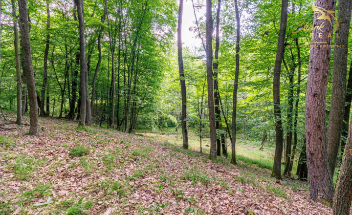 TOP CENA Duchonka / Pozemok  na výstavbu chaty v lone prírody - fotografia 11