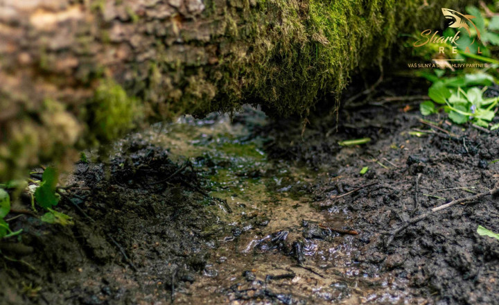 TOP CENA Duchonka / Pozemok  na výstavbu chaty v lone prírody - fotografia 12