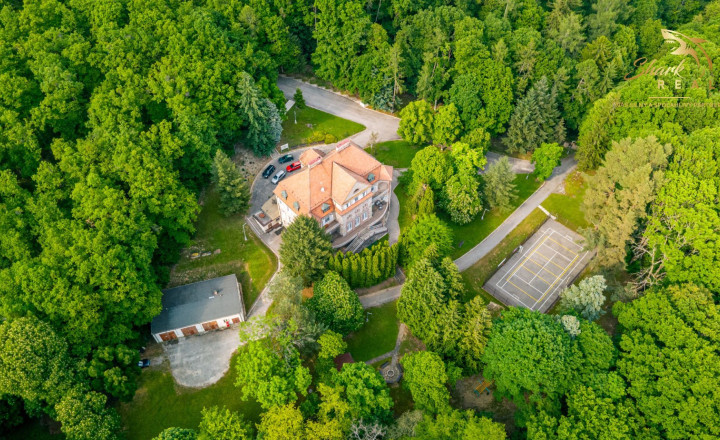 TOP CENA Duchonka / Pozemok  na výstavbu chaty v lone prírody - fotografia 29