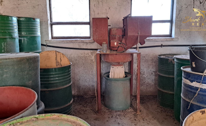 Farma na predaj - fotografia 10