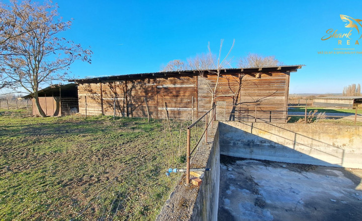 Farma na predaj - fotografia 12