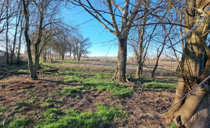 Farma na predaj - fotografia 15