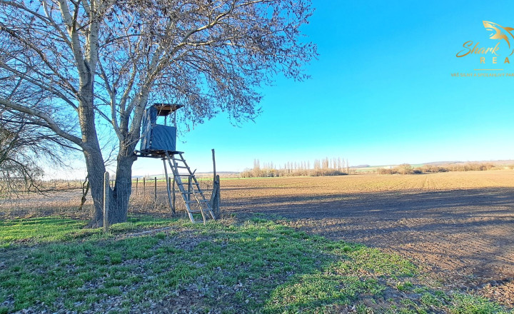 Farma na predaj - fotografia 16