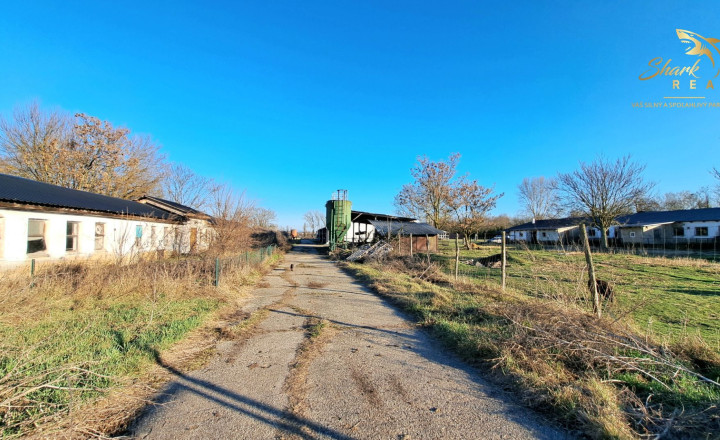 Farma na predaj - fotografia 17
