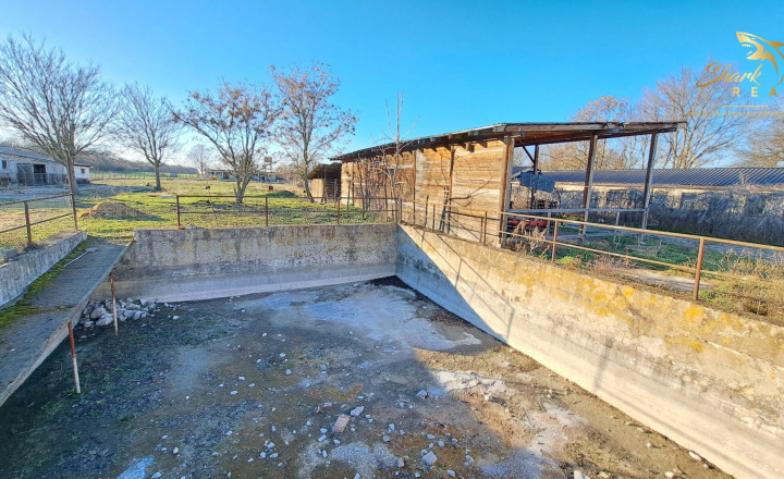 Farma na predaj - fotografia 18