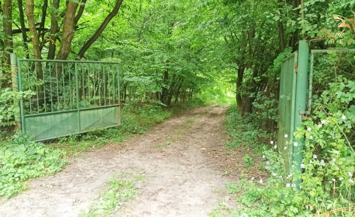 Jedinečná chata v lese, vhodná na investíciu - fotografia 17