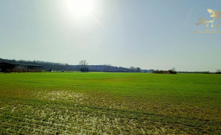 Nová cena! Rovinatý pozemok na predaj v blízkosti prírody - fotografia 4