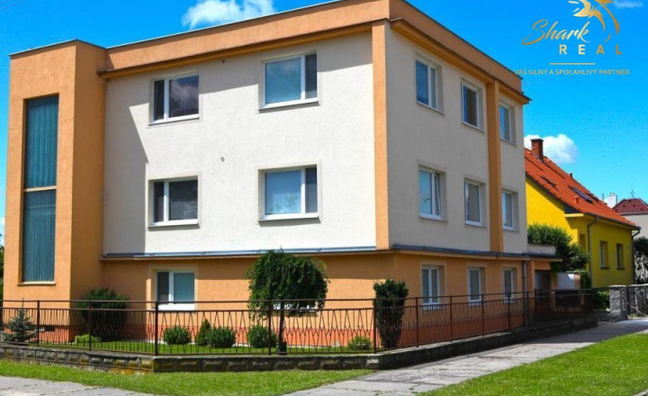 VILLA PARIS v rezidenčnej časti kúpeľného mesta Piešťany - fotografia 15