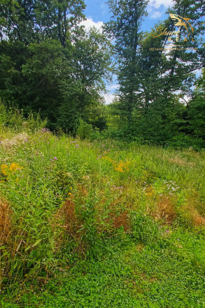 Užší rovinatý pozemok na predaj - fotografia 6