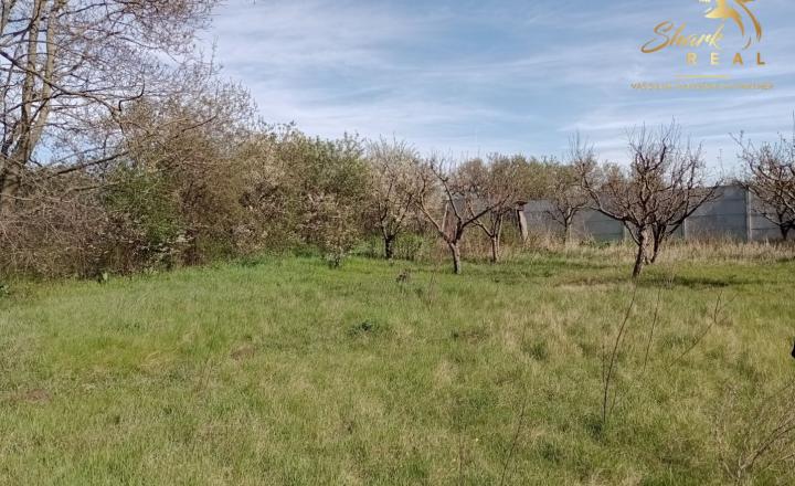 Slnečný pozemok v Poľnom Kesove - fotografia 2