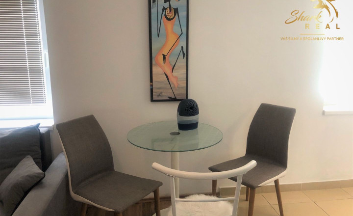 Jedinečná apartmánová nehnutelnosť s bazénom a záhradou - fotografia 22