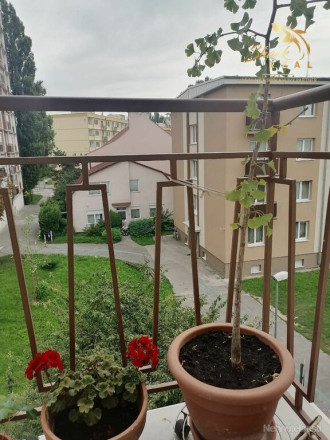 Na predaj priestranný slnečný 3-izbový byt na Krajinskej ulici - fotografia 4