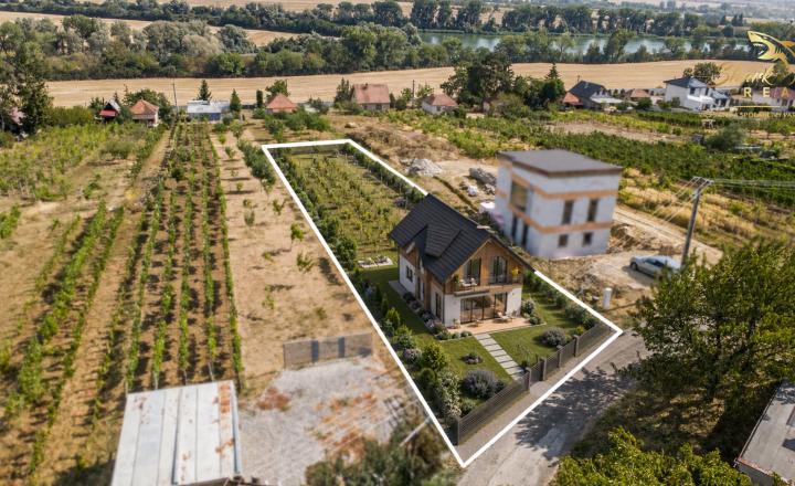 Slnečný pozemok s viničom a nádherným výhľadom - fotografia 1