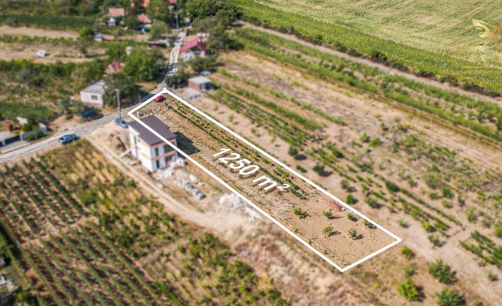 Slnečný pozemok s viničom a nádherným výhľadom - fotografia 3