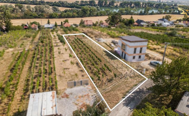 Slnečný pozemok s viničom a nádherným výhľadom - fotografia 4