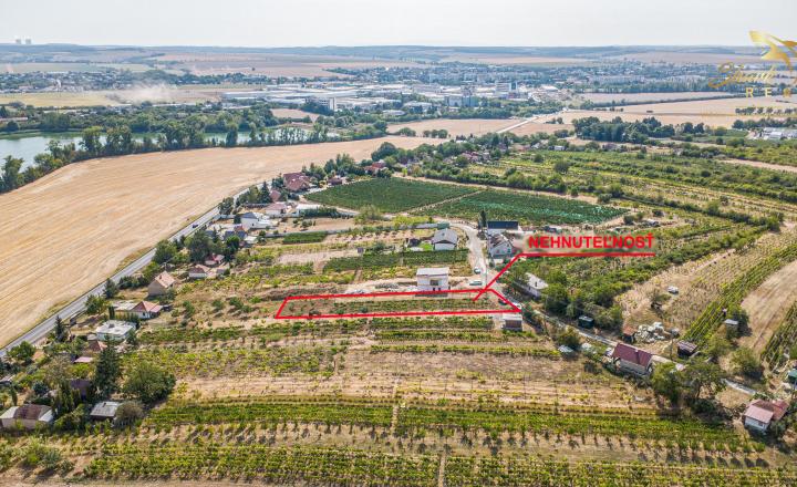 Slnečný pozemok s viničom a nádherným výhľadom - fotografia 5