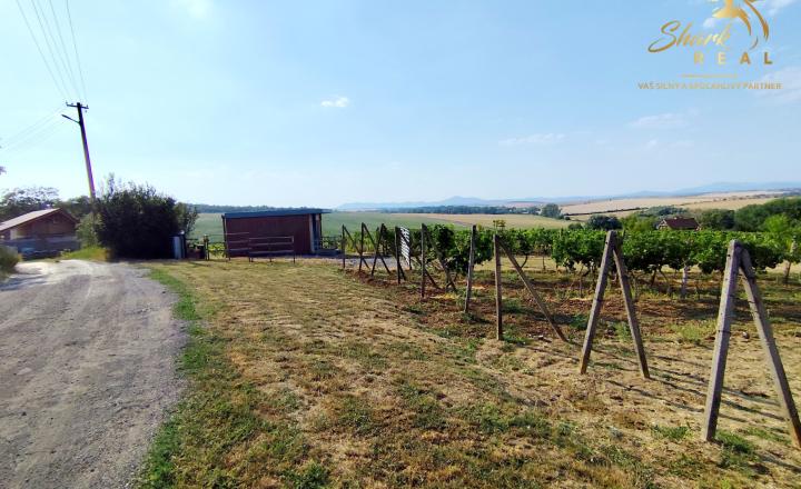 Slnečný pozemok s viničom a nádherným výhľadom - fotografia 12