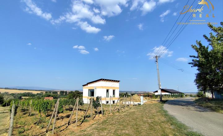 Slnečný pozemok s viničom a nádherným výhľadom - fotografia 13