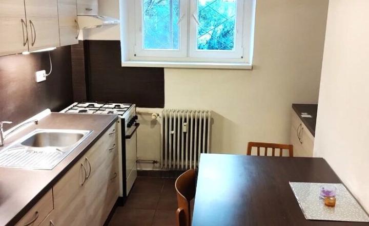 VEĽKÝ Staromestský 1i byt na prenájom pre 2 osoby- Voľný ihneď - fotografia 4