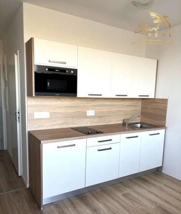 NEW BUILD _ FOR RENT 1 room apartment _ Ovocné sady  - fotografia 3