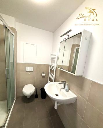 NEW BUILD _ FOR RENT 1 room apartment _ Ovocné sady  - fotografia 5