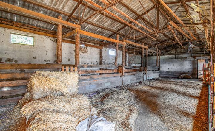Bývaj a podnikaj! Rodinný dom s rozsiahlym pozemkom - fotografia 14