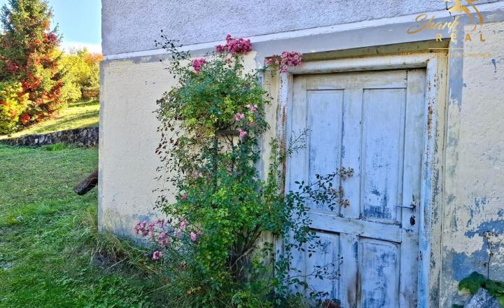 Oáza pokoja na kopaniciach: Romantická chalupa so saunou a veľkým ovocným sadom - fotografia 3