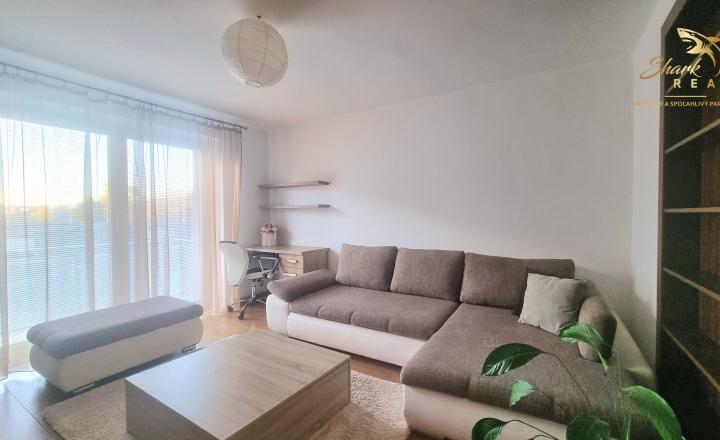 Na prenájom IHNEĎ VOĽNÝ 2-izbový byt po rekonštrukcii – centrum Trebišova, Tržná ulica - fotografia 3