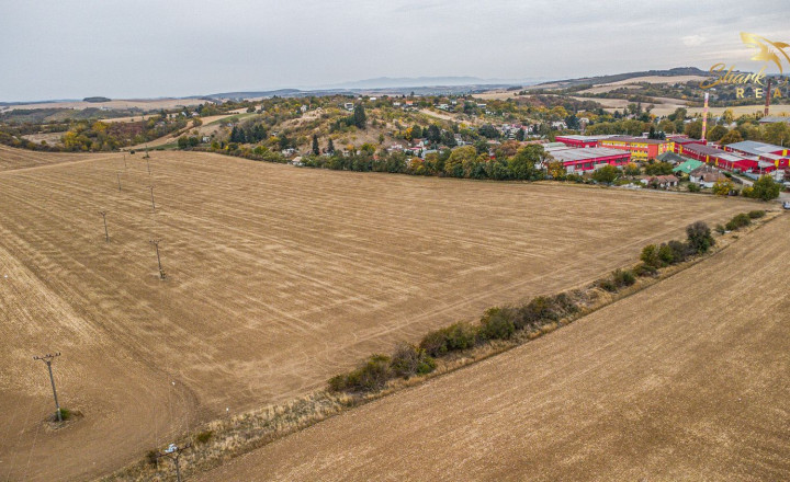Developerská príležitosť v Leviciach na ploche viac ako 11 hektárov - fotografia 5