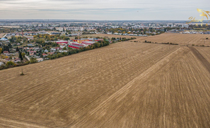 Developerská príležitosť v Leviciach na ploche viac ako 11 hektárov - fotografia 6